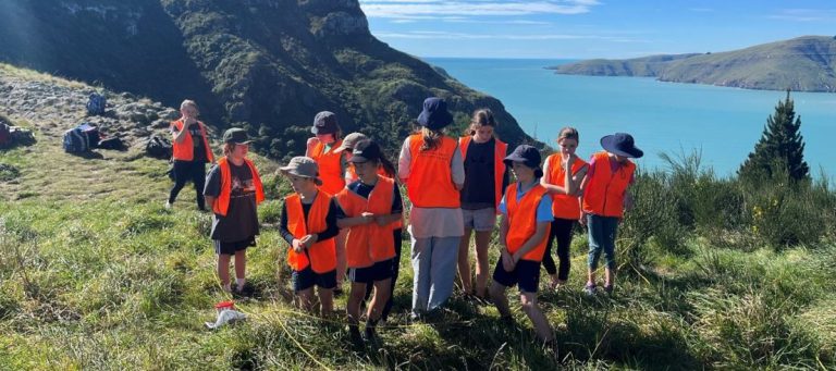 Tamariki/children learning about environmental restoration in the Whakaraupō/Lyttelton Harbour area.