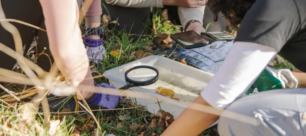 Photograph of people around a magnifying glass. 