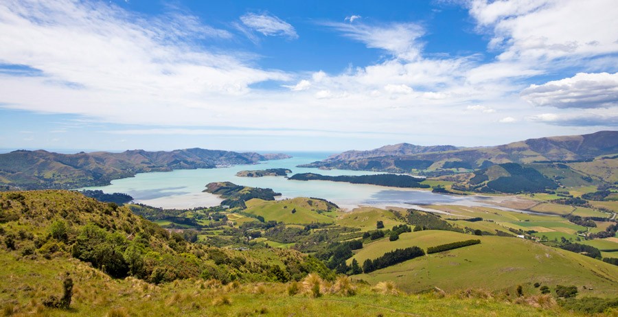 Read more about the article Community and partnership key to restoring Whakaraupō/Lyttelton Harbour