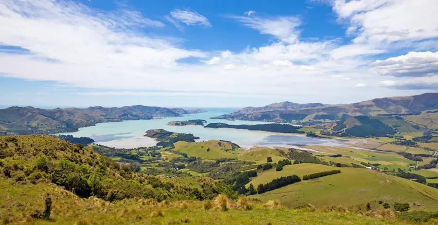 Panoramic view of Whakaraupō / Lyttelton Harbour from the surrounding hills, showing green rolling farmland, patches of forest, and the calm harbour waters under a partly cloudy sky.