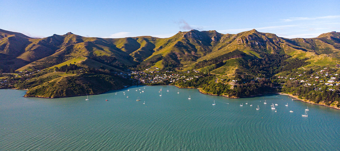Read more about the article ‘WOPPers’ wipe out 4500 pests in two years around Whakaraupō Lyttelton Harbour