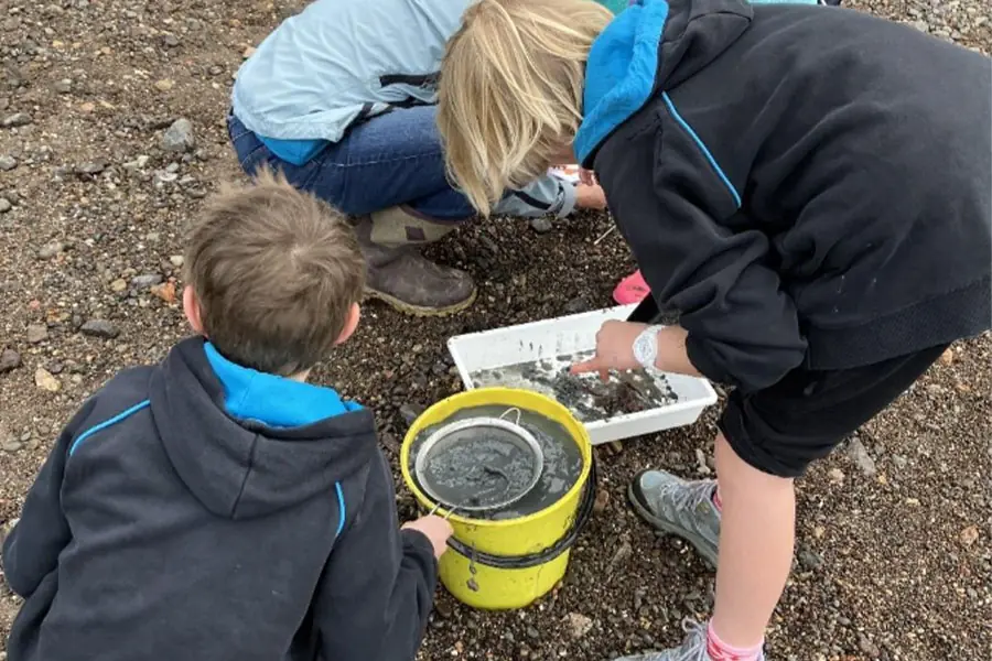 School pupils investigating a bucket with sieve and tray.